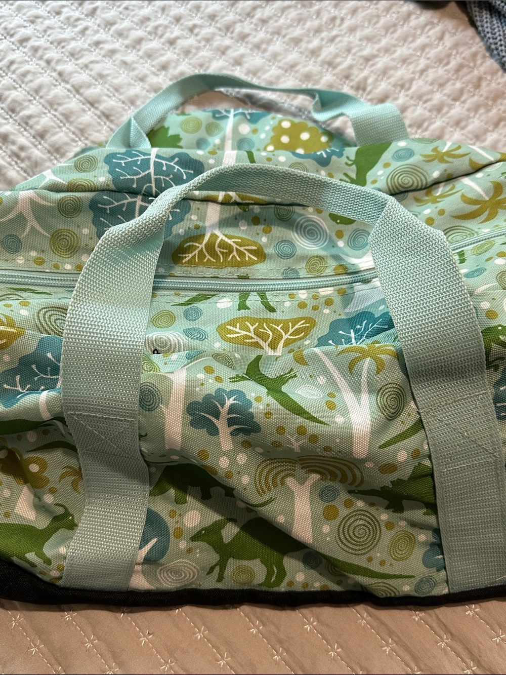 Kids Dino Print Duffle Bag in Mint and Green